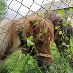 Sci Lebach Lägenhet Bagnères-de-Bigorre