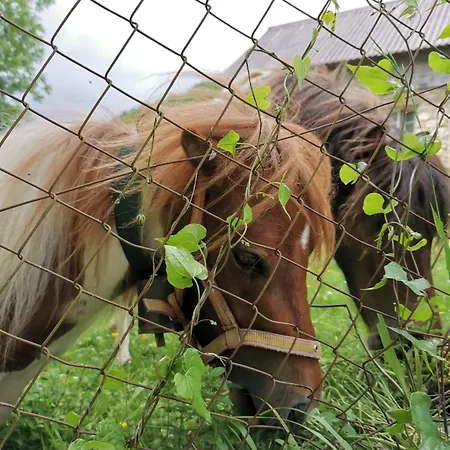 Sci Lebach 公寓 巴涅尔德比戈尔